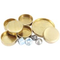 Ford 351 Cleveland Welsh Plug Kit
