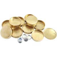 Holden 253, 304, 308 Welsh Plug Kit