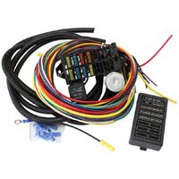 Complete Universal 8 Circuit Wiring Harness Kit