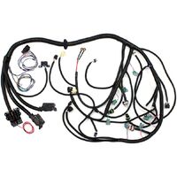 GM LS2 with T56 Manual Transmission Wiring Harness