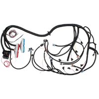 GM LS1 with T56 Manual Transmission Wiring Harness