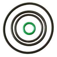 Replacement Pro Filter O-Rings