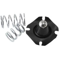 Replacement Fuel Pressure Regulator Diaphragm and Spring Assembly