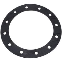 Replacement PTFE Gasket