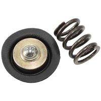 Replacement Spring & Diaphgram Assembly