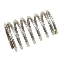 Check Valve Spring