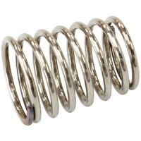 Check Valve Spring
