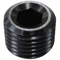 Black Coated Steel Port Plug