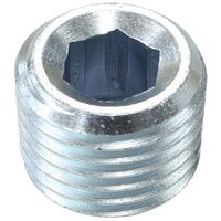 Zinc Coated Steel Port Plug