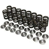 Single Spring/Titanium Retainer Kit (Evo 8-9)