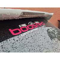 Boosted Sticker Large (Pink)
