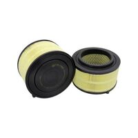 Sakura Air Filter
