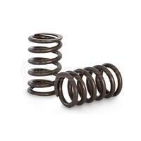 Kelford Racing Valve Spring Kit - Toyota 1FZ-FE/Nissan TB48DE