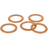 Copper Washers - 5 Pack