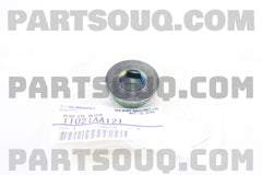 Cylinder Block Plug-1