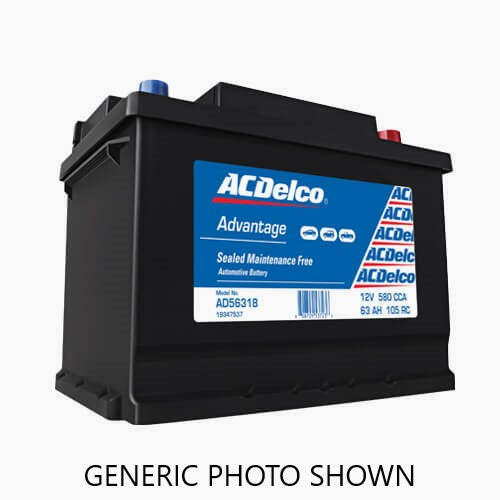 Advantage (SMF) Battery-1