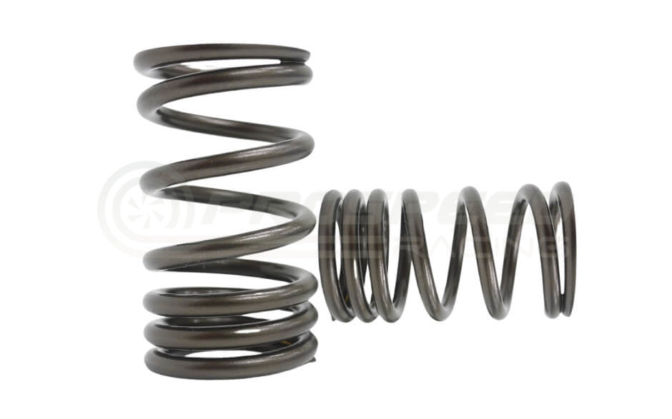 Kelford Performance Valve Spring Set - Nissan A Series